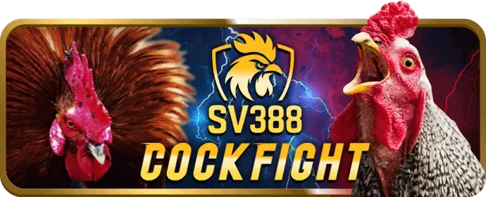 Kinh nghiệm cá cược đá gà J88AAA